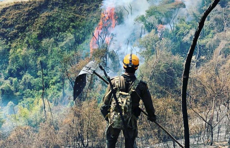 Após incêndio florestal bombeiros fazem trabalho de rescaldo em Secretário