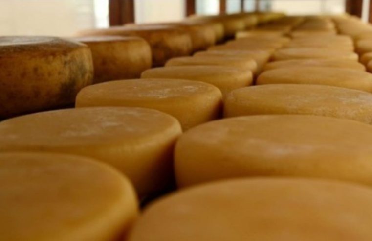 Cresce emissões de certificados sanitários para produtos de origem animal no país