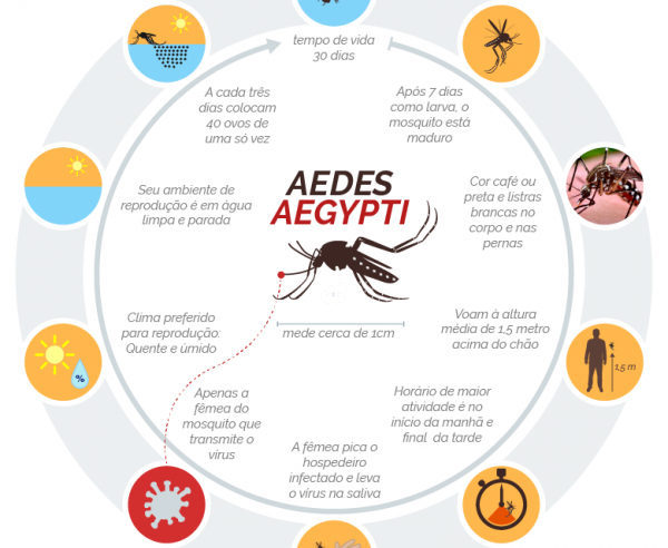 Combate ao Aedes Aegypti: prevenção e controle da Dengue, Chikungunya e Zika