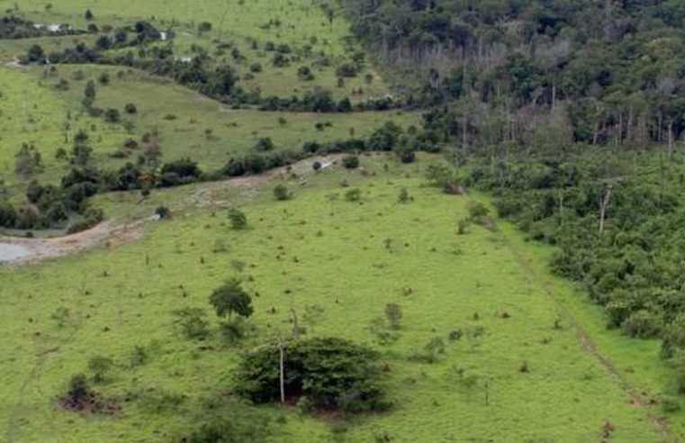 Amazonas têm 1.664 focos de fogo e Ibama manda reforço de brigadistas