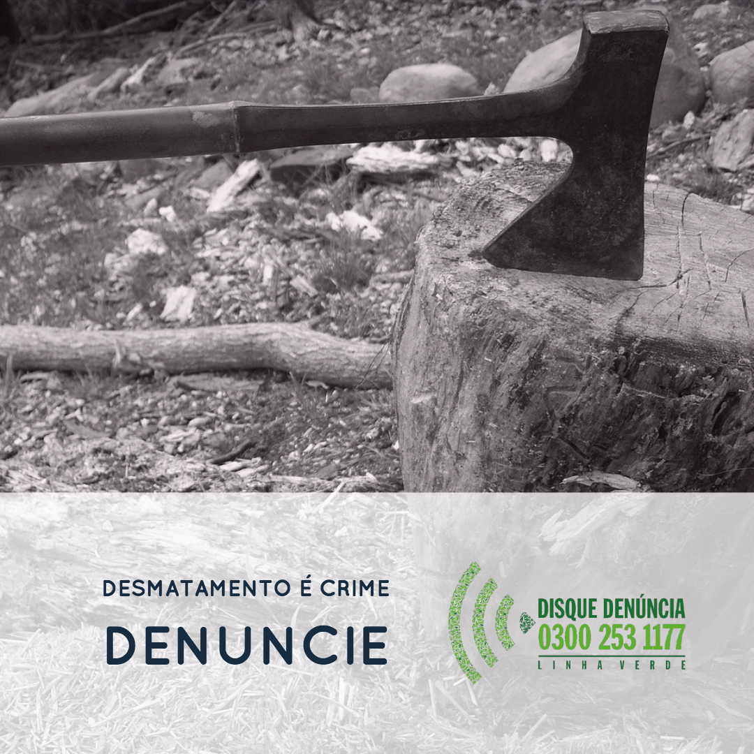 Levantamento do Linha Verde mostra a quantidade de área degradada no Estado do RJ com base em denúncias do programa