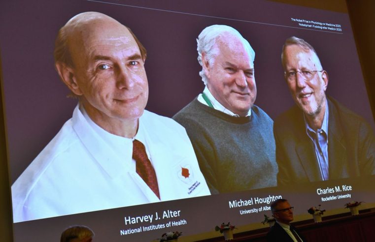 Nobel de Medicina é de cientistas que pesquisaram vírus da hepatite C