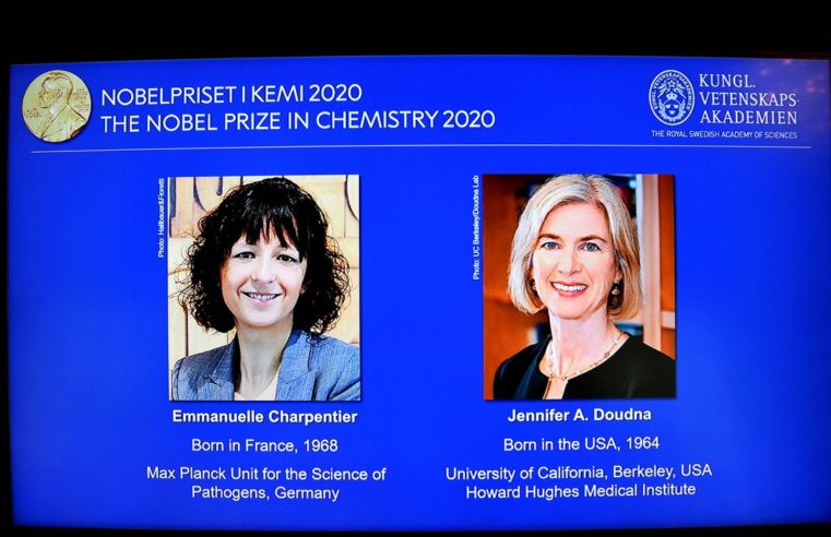 Duas cientistas vencem Nobel de Química por pesquisa com genoma