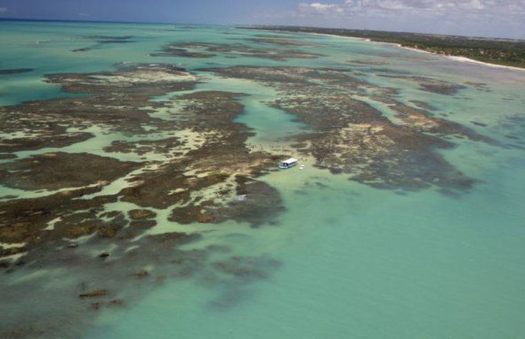 Aquecimento dos oceanos pode mudar recifes de corais, mostra estudo