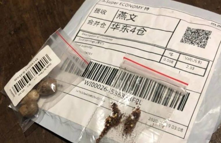 Secretaria de Agricultura recebe pacotes desconhecidos com sementes  da China
