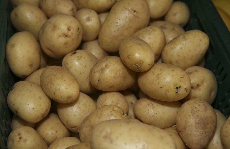 Nove Bancos de Alimentos receberão um incentivo somado de R$3,6 milhões