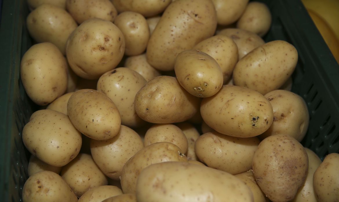 Nove Bancos de Alimentos receberão um incentivo somado de R$3,6 milhões