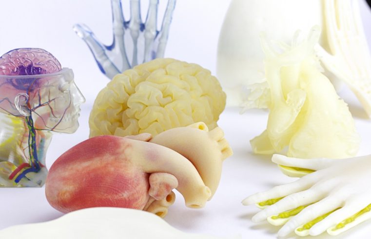 CLIENTES DA ÁREA MÉDICA EM TODO O MUNDO ADOTAM IMPRESSORA 3D STRATASYS J750 DIGITAL ANATOMY