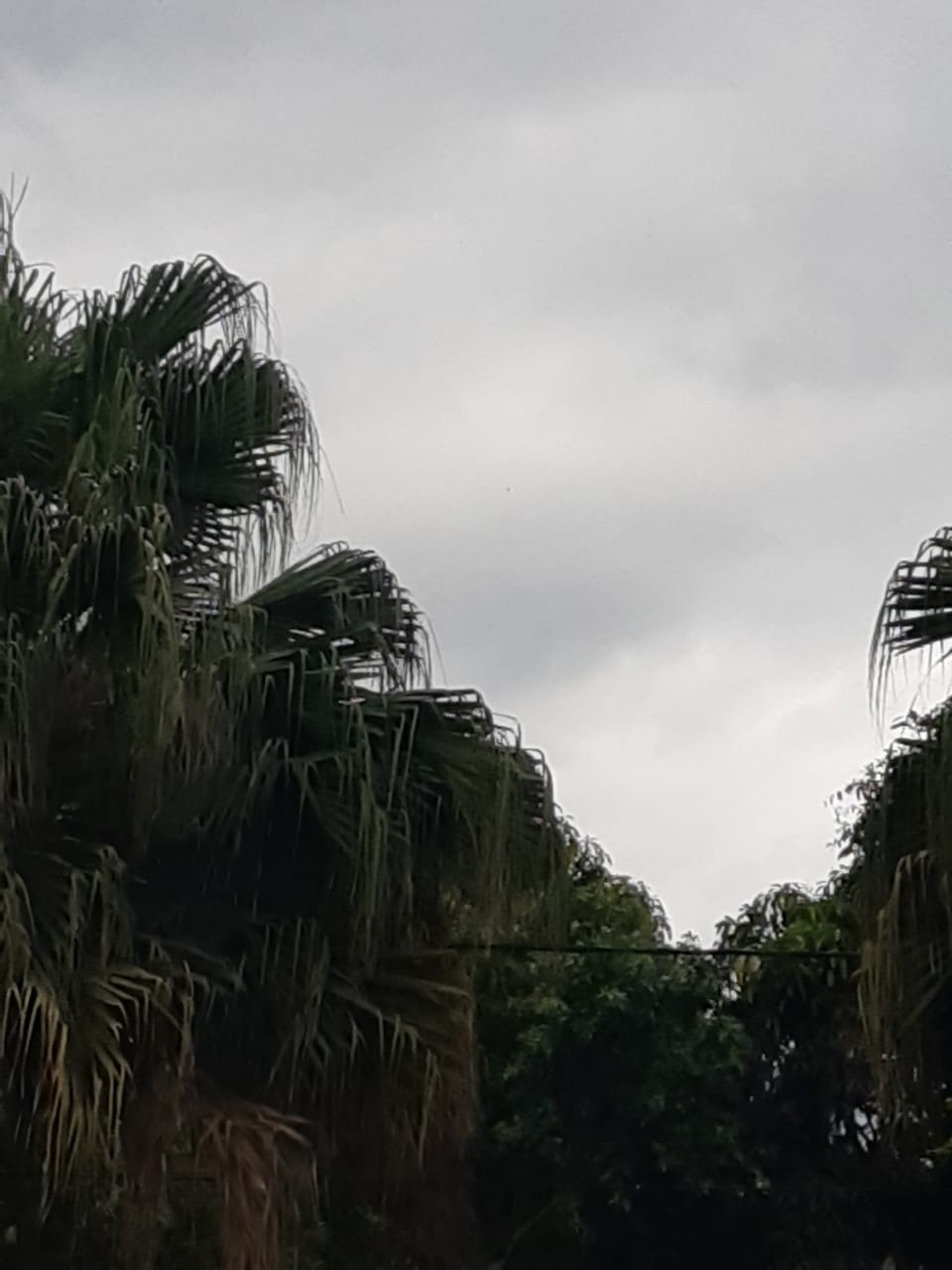 INMET alerta para temporais na Região Serrana