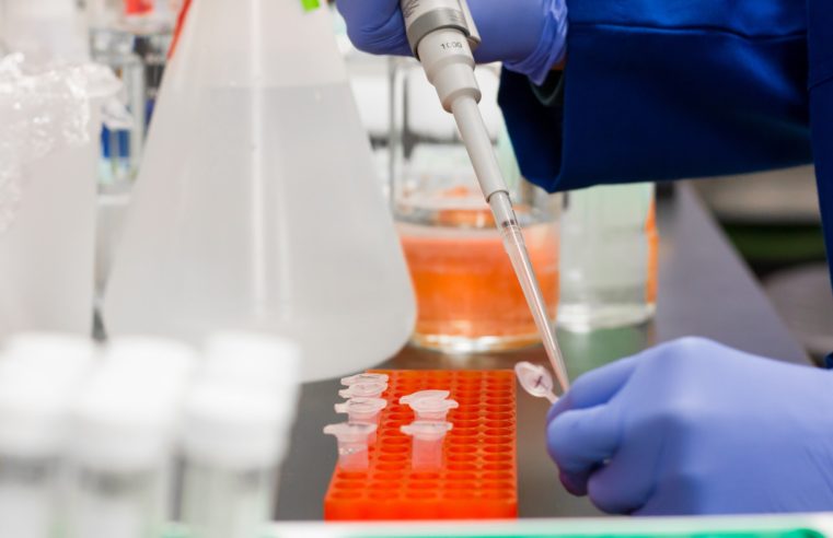 Brasil está analisando casos suspeitos de reinfecção por Covid-19