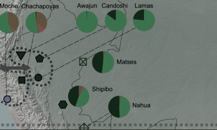 Sequenciamento de genoma tem envolvimento de um pesquisador do LNCC