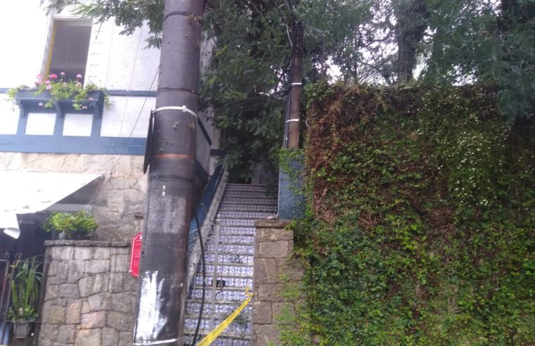 Árvore cai sobre rede elétrica e moradores da Avenida Tiradentes e adjacências ficam no escuro