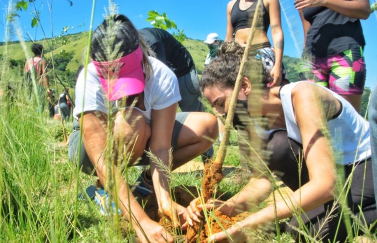 Projeto de reflorestamento vai plantar 300 mil mudas em Nova Iguaçu, no Estado do RJ