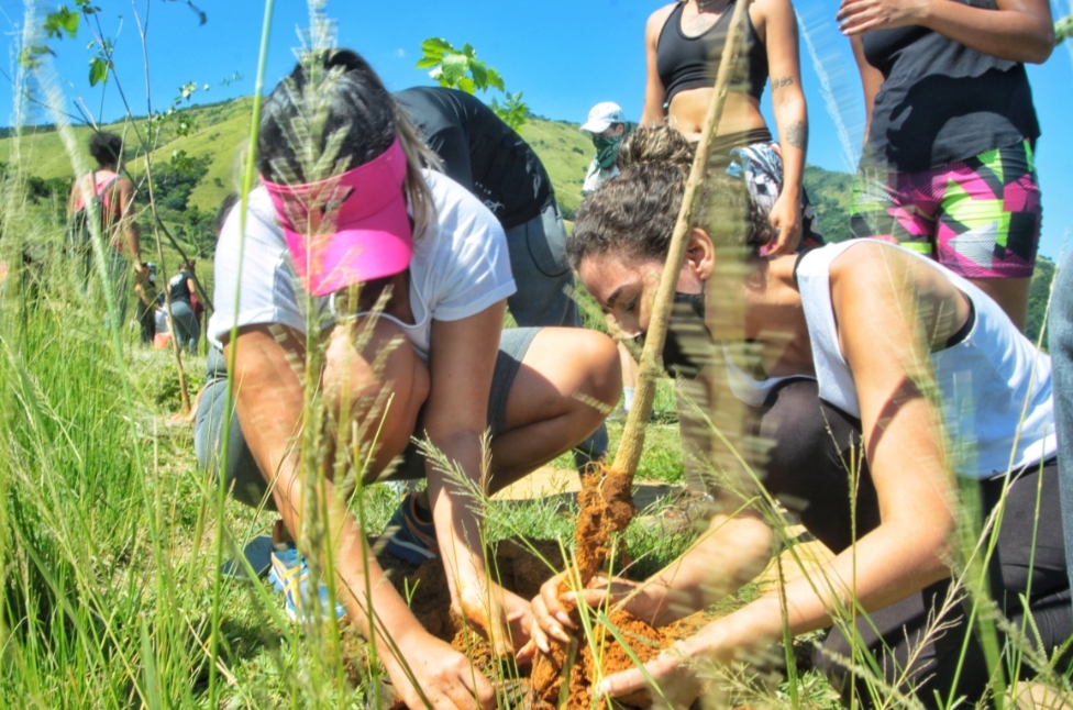 Projeto de reflorestamento vai plantar 300 mil mudas em Nova Iguaçu, no Estado do RJ