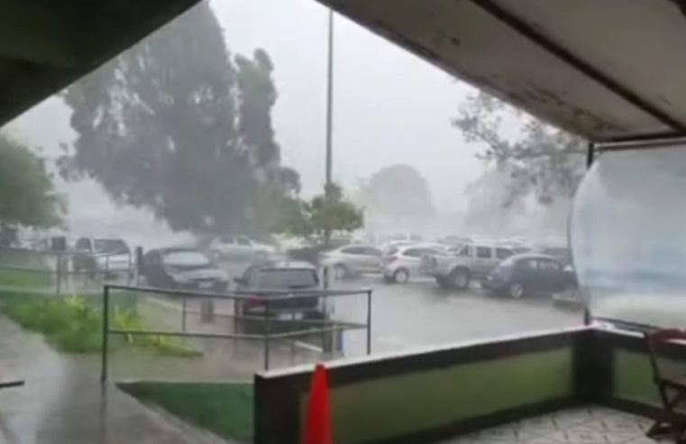 Temporal em Itaipava derruba árvore sobre carros no hortomercado, e assusta ocupantes dos veículos