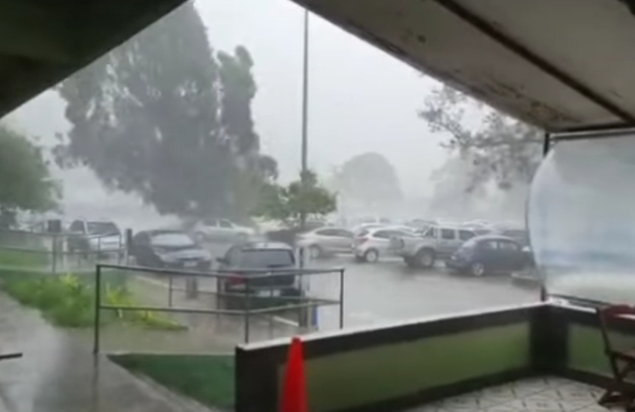 Temporal em Itaipava derruba árvore sobre carros no hortomercado, e assusta ocupantes dos veículos