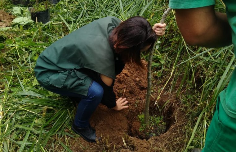 Árvores leguminosas nativas da Mata Atlântica são plantadas em homenagem ao Dia do Agente de Defesa Ambiental