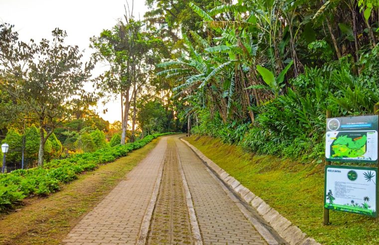 Parque Natural Municipal Padre Quinha, na Avenida Ipiranga, será reaberto nesta terça-feira, (16) às 10h