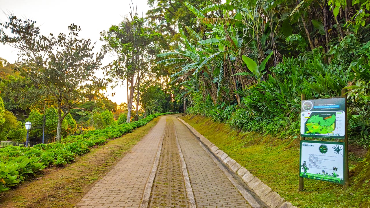 Parque Natural Municipal Padre Quinha, na Avenida Ipiranga, será reaberto nesta terça-feira, (16) às 10h