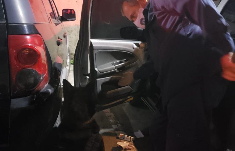 Operação na Rodovia BR-040, em Petrópolis apreendeu 1600 pinos de cocaína. A Droga estava escondida no tanque de combustível de um veículo e foi localizada com a ajuda dos cães da Guarda Civil de Petrópolis