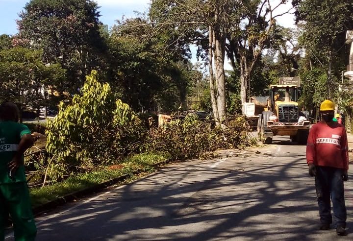 Av. Barão do Rio Branco, sentido Centro, segue interditada