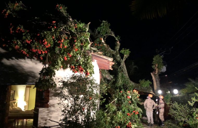 Após temporal árvore atinge casa em Nogueira, e moradores de Itaipava completam 15 horas sem luz