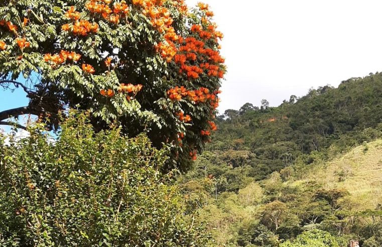 Defesa Civil alerta para ventos moderados a fortes em Petrópolis