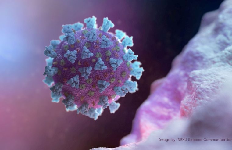 Covid-19: variante Eek é causa da maioria de casos em hospital japonês