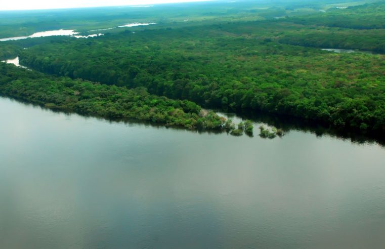 Mata Atlântica é o bioma com maior captação de água do país