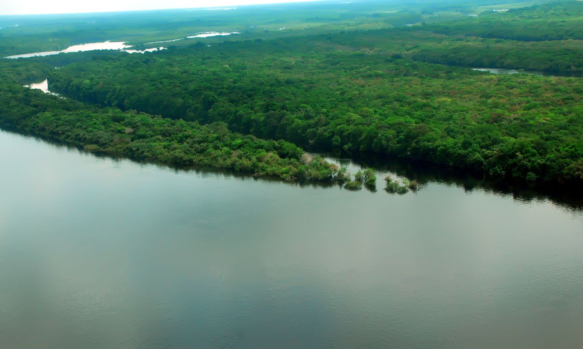 Mata Atlântica é o bioma com maior captação de água do país