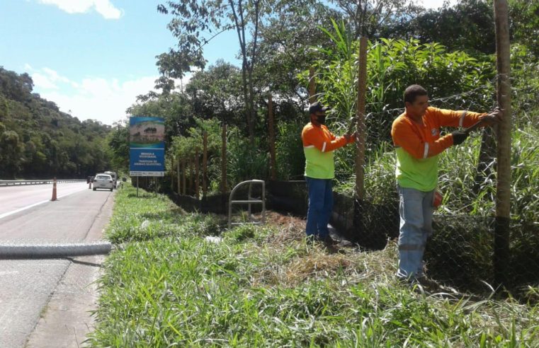 Concer amplia cercas de proteção para fauna silvestre