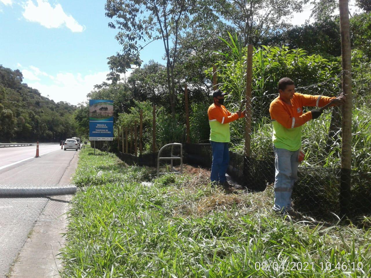 Concer amplia cercas de proteção para fauna silvestre