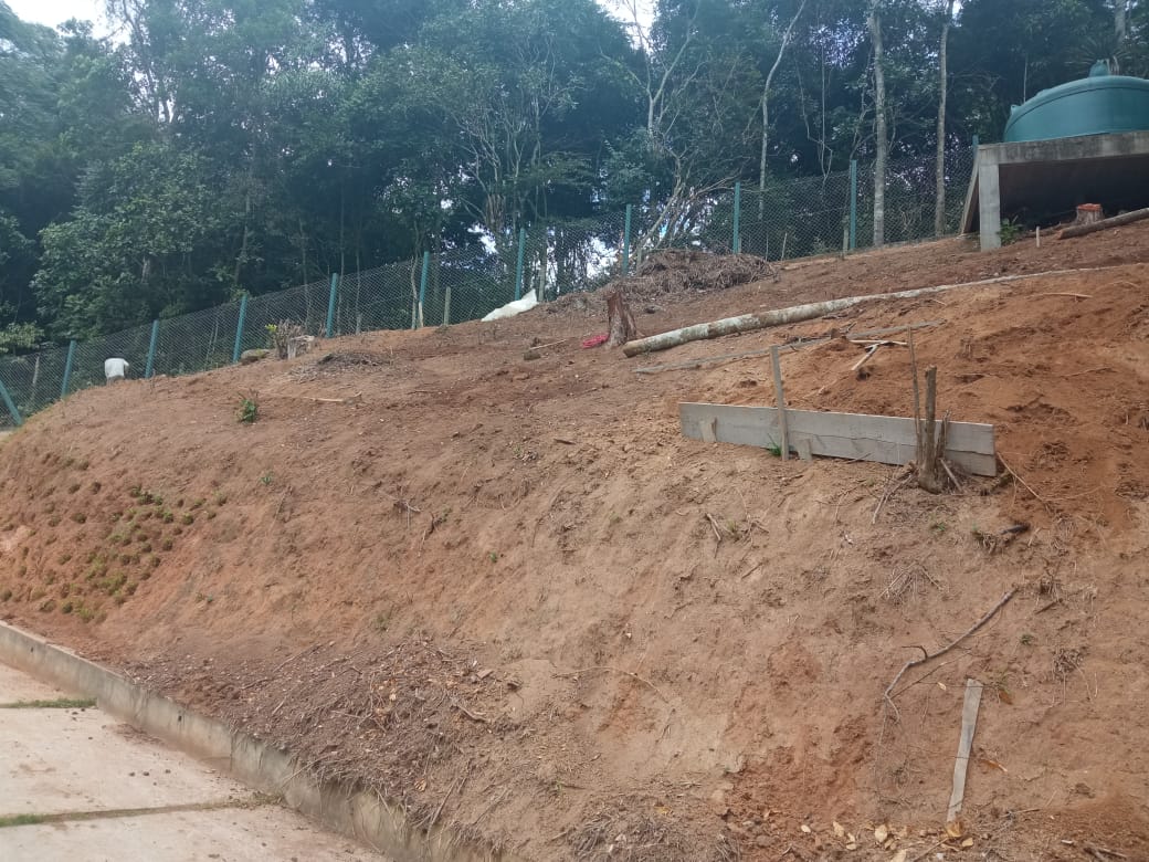 Polícia Ambiental flagra o corte de árvores no Samambaia
