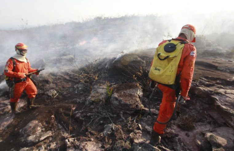 Ibama é autorizado a contratar temporariamente 1.659 profissionais