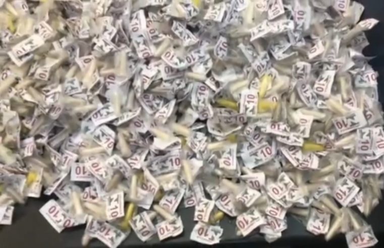 Polícia Militar realiza nova grande apreensão de drogas no Sertão do Carangola