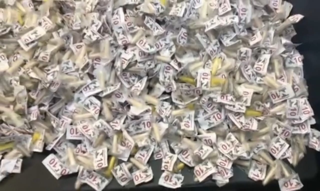 Polícia Militar realiza nova grande apreensão de drogas no Sertão do Carangola