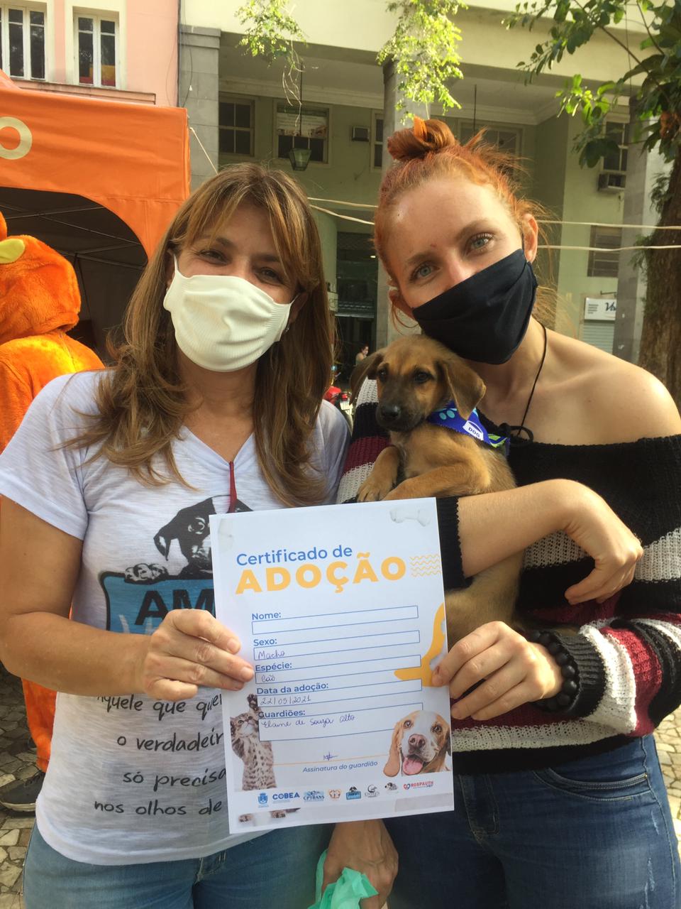 Nove cães adotados na quarta edição da campanha organizada pela Cobea