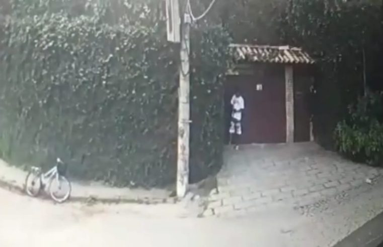 Homem furta dinheiro que estava dentro de caminhão e acaba preso