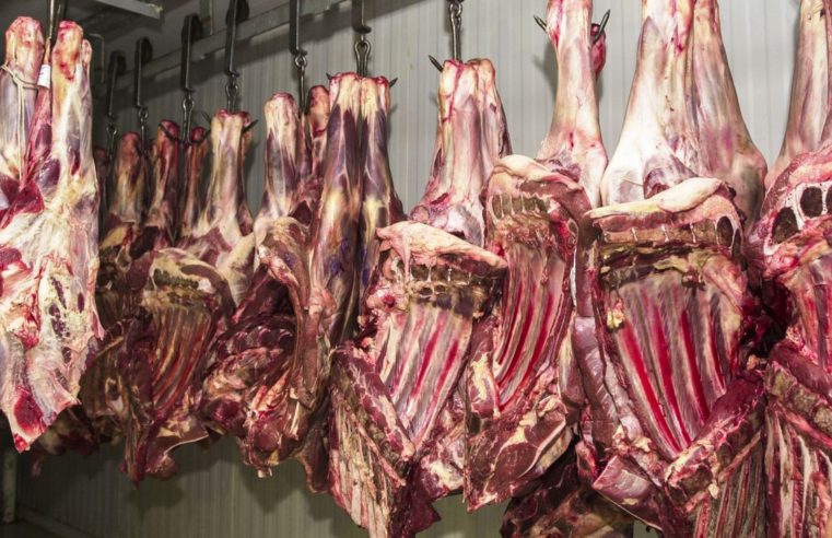 Comércio irregular de carne é alvo de operação no interior paulista