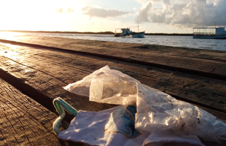 Pesquisa será base para campanha sobre descarte de EPIs domésticos