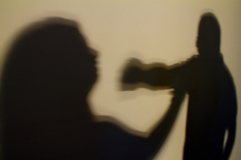 Câmara aprova projeto que institui Semana Escolar de Combate à Violência contra a Mulher