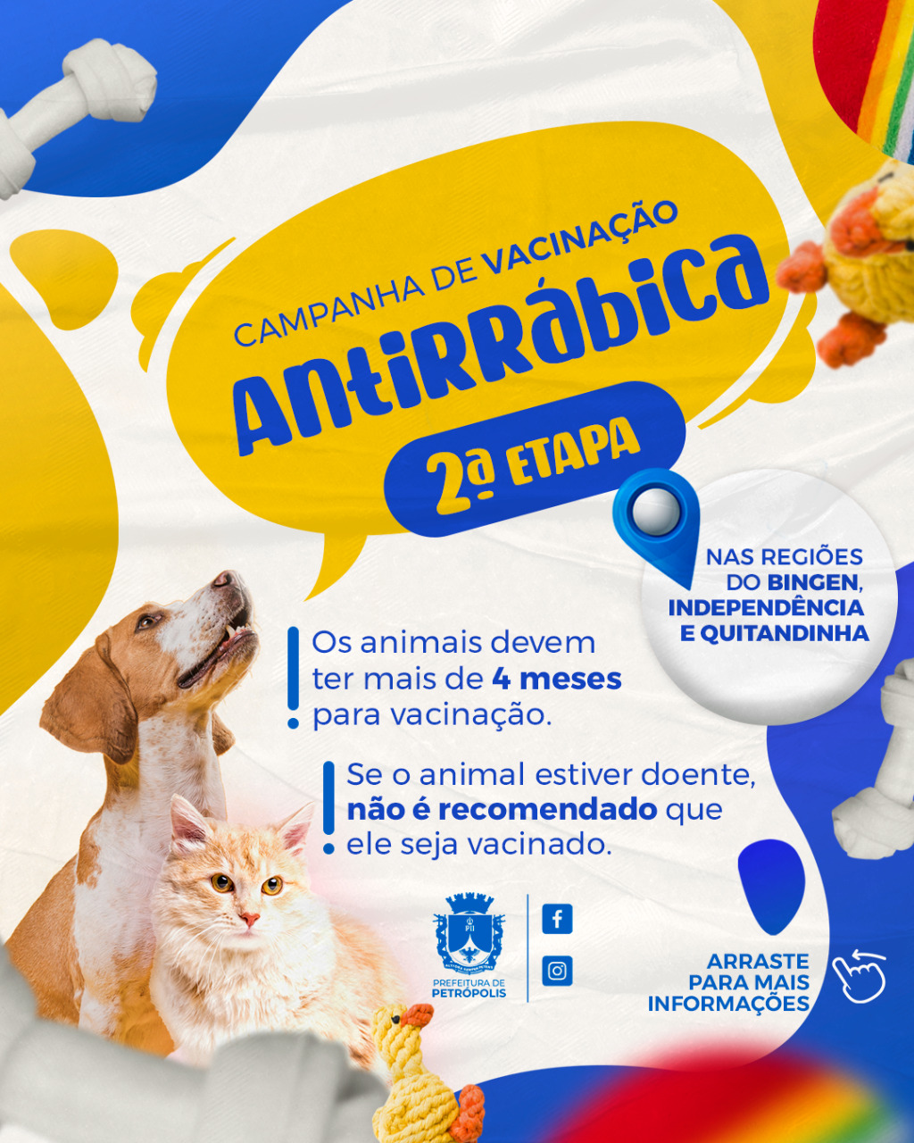 Segunda etapa da campanha de vacinação antirrábica animal será realizada sábado (12) no Independência, Bingen e Quitandinha