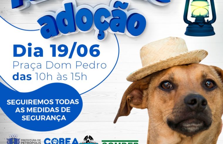 Primeiro Arraiá de adoção de cães e gatos acontece neste sábado (19/06)
