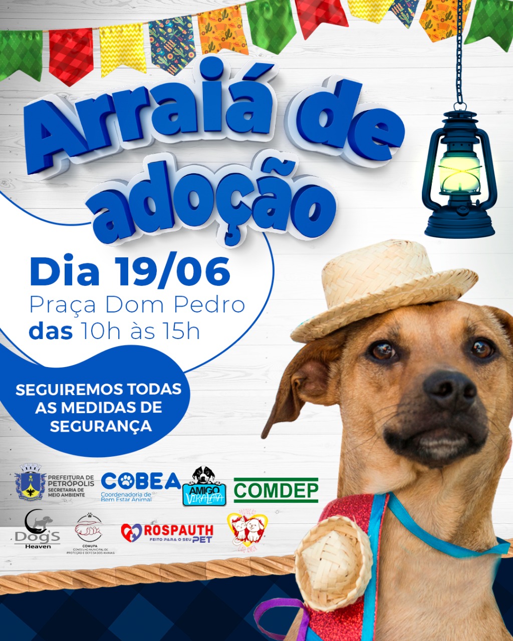 Primeiro Arraiá de adoção de cães e gatos acontece neste sábado (19/06)