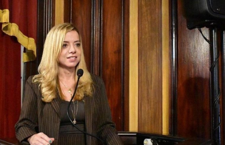 Vereadora protocola Projetos de Lei em prol da causa animal