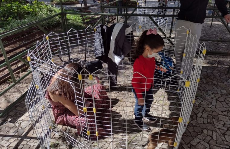 Prefeitura promove mais uma Campanha de Adoção de Animais neste sábado
