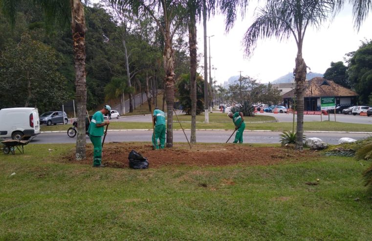Trevo de Bonsucesso será o primeiro a receber as ações do projeto “Vamos florir Itaipava” da Afipe