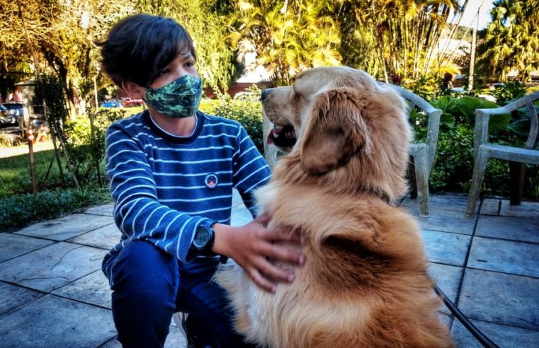 Canil da Guarda Civil retoma parceria de cinoterapia com o CTO