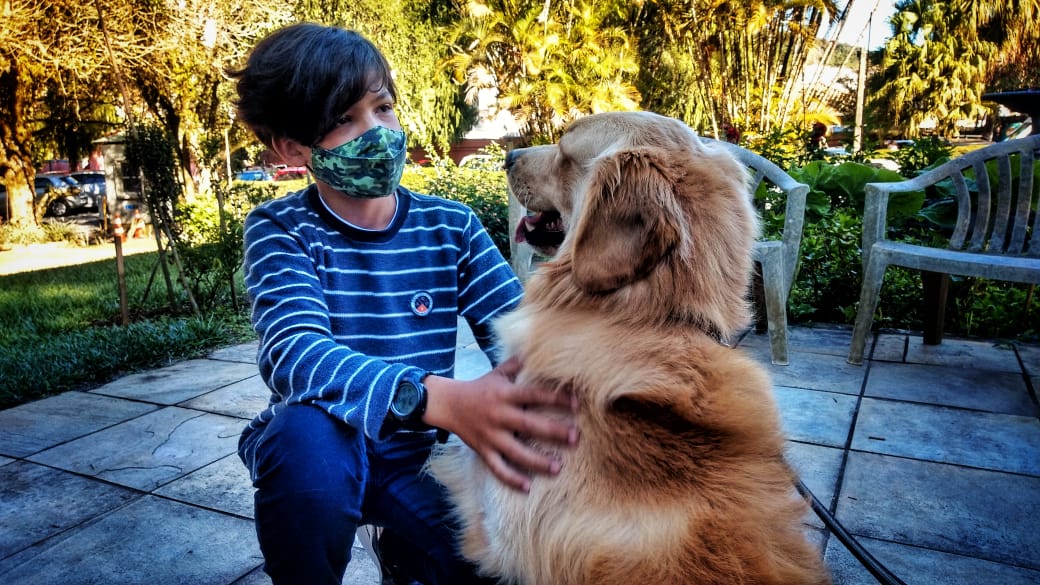 Canil da Guarda Civil retoma parceria de cinoterapia com o CTO