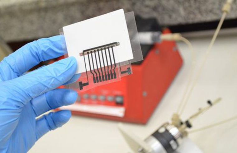 Agência dos EUA aprova remédio contra Alzheimer